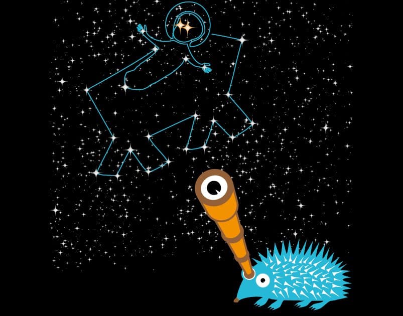 ježkovy voci novink 806x630